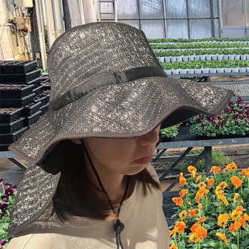涼かちゃん 槍木産業