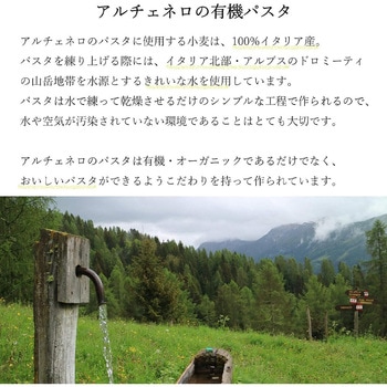 有機全粒粉スパゲッティ 日仏貿易