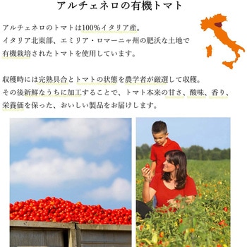 有機トマトピューレー - 日仏貿易