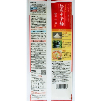 熟成中華麺 池島フーズ