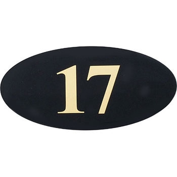 WL28-17 e[uio[TC   17652188