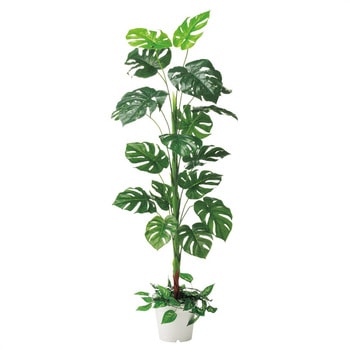 年間装飾品 フェイクグリーン 観葉植物 人工樹木モンステラ ストア・エキスプレス