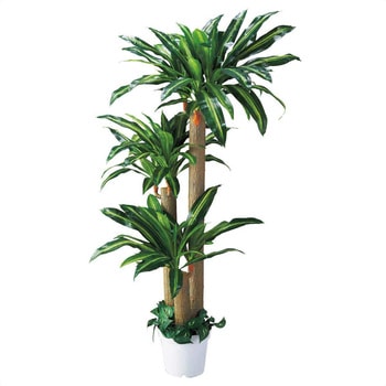 年間装飾品 フェイクグリーン 観葉植物 人工樹木【幸福の木】 ストア・エキスプレス