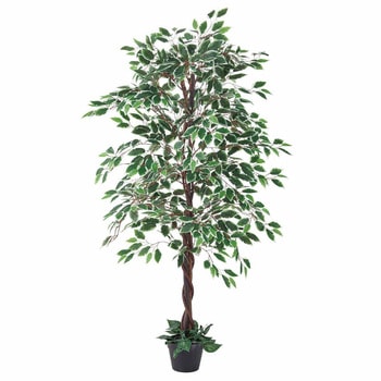 年間装飾品 フェイクグリーン 観葉植物 人工樹木ベンジャミン ストア・エキスプレス