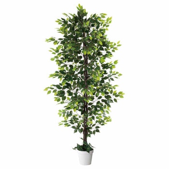 年間装飾品 フェイクグリーン 観葉植物 人工樹木ベンジャミン ストア・エキスプレス