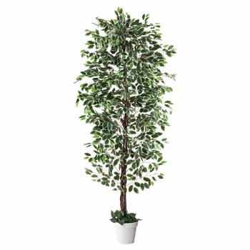 年間装飾品 フェイクグリーン 観葉植物 人工樹木ベンジャミン ストア・エキスプレス