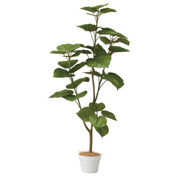 年間装飾品 フェイクグリーン 観葉植物 人工樹木フィカスウンベラータ ストア・エキスプレス