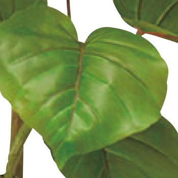 年間装飾品 フェイクグリーン 観葉植物 人工樹木フィカスウンベラータ ストア・エキスプレス