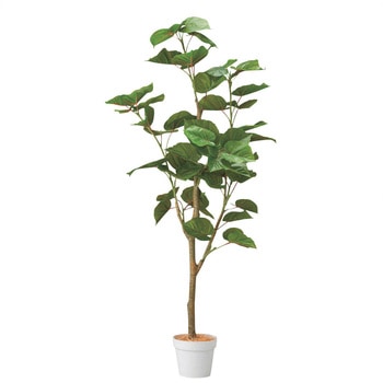 年間装飾品 フェイクグリーン 観葉植物 人工樹木フィカスウンベラータ ストア・エキスプレス