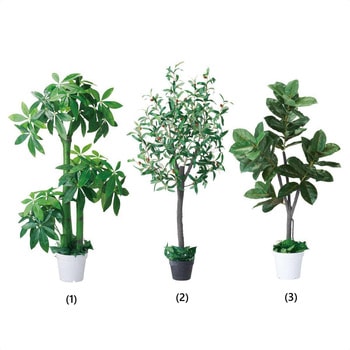 年間装飾品 フェイクグリーン 観葉植物 人工樹木 ストア・エキスプレス