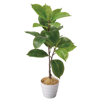 8725-9730 �N�ԑ����i �ϗt�A�� �t�F�C�N�O���[���|�b�g �X�g�A�E�G�L�X�v���X 17751478