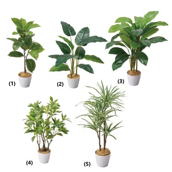 年間装飾品 観葉植物 フェイクグリーンポット ストア・エキスプレス