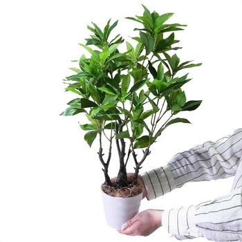 年間装飾品 観葉植物 フェイクグリーンポット ストア・エキスプレス
