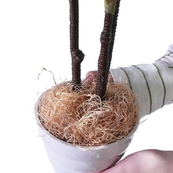 年間装飾品 観葉植物 フェイクグリーンポット ストア・エキスプレス