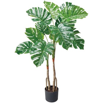年間装飾品 フェイクグリーン 観葉植物 人工樹木 ストア・エキスプレス