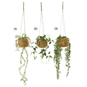 年間装飾品 フェイクグリーン 観葉植物 ハンギンググリーンバスケット(人工観葉植物) ストア・エキスプレス