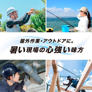 ヘルメット専用ダブルファン 大河商事