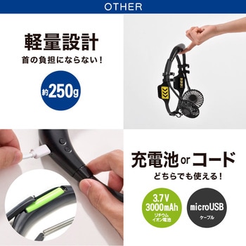 ヘルメット専用ダブルファン 大河商事