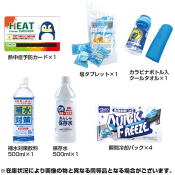 熱中対策キット ブレイン