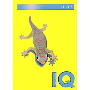 バイオトップカラー 伊東屋