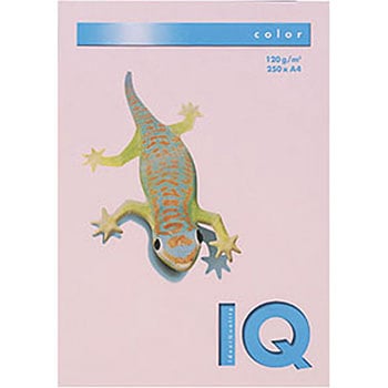 バイオトップカラー 伊東屋