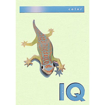 バイオトップカラー 伊東屋