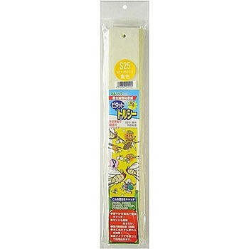 トルシーS25 一色本店