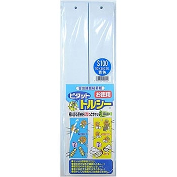 トルシーS100P 一色本店