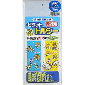 トルシーM50 一色本店