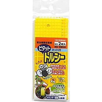 トルシーネット付SS2 一色本店