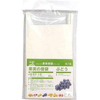果実袋 一色本店