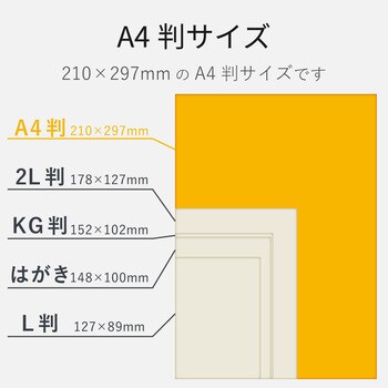 EJK-EGNA450 写真用紙 光沢紙 厚手 エプソン用 色鮮やか ホワイト 1