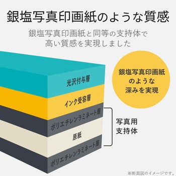 写真用紙 光沢 厚手 銀塩写真印画紙 ホワイト エレコム 【通販モノタロウ】