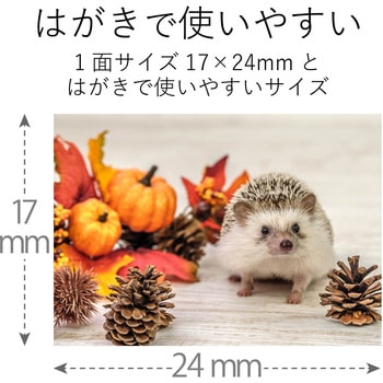 フォトシール 耐水 光沢 こすれに強い エレコム