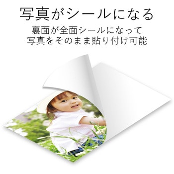 フォトシール 耐水 光沢 こすれに強い エレコム