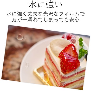 フォトシール 耐水 光沢 こすれに強い エレコム
