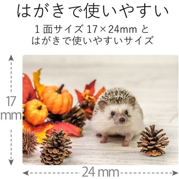 ハガキ用シール プリクラシール 鮮やか テストプリント紙付属 エレコム