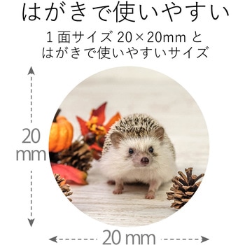 ハガキ用シール プリクラシール 鮮やか テストプリント紙付属 エレコム