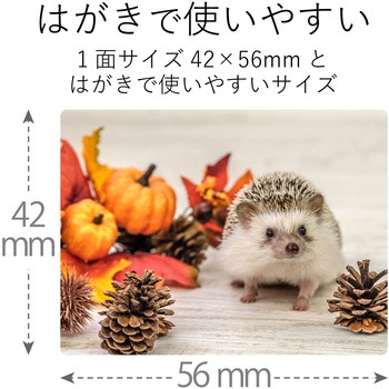 ハガキ用シール プリクラシール 鮮やか テストプリント紙付属 エレコム