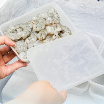 Kiip SLappeR キープスラッパー 保存容器 長方形 Frozenタイプ 250個入り ミヤゲン