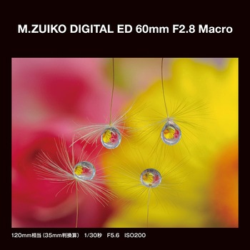 交換レンズ M.ZUIKO DIGITAL ED 60mm F2.8 Macro OMデジタルソリューションズ