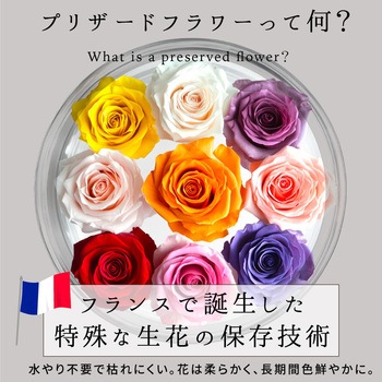 フラワーギフト プリザーブドフラワー 大河商事