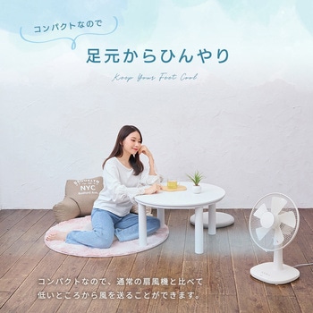 ミニリビング扇風機 ユアサ(ユアサプライムス)
