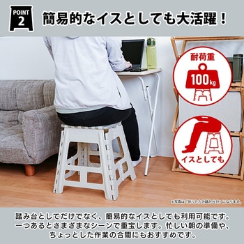 折りたたみ踏み台 39 ワイド ダークグレー パークレーン