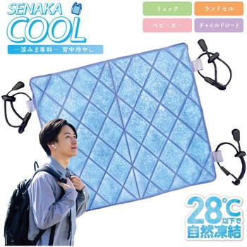 涼みま専科 背中冷やし PCM 冷感パッド AFF WARE