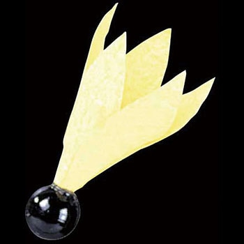 No.6147 祝羽根 - 川善