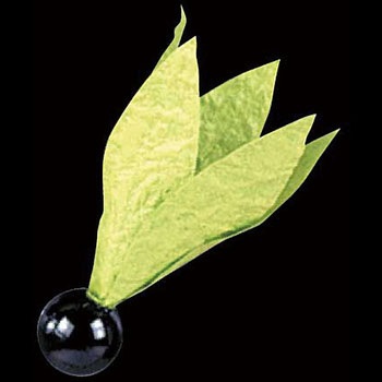 No.6147 祝羽根 - 川善