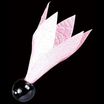 No.6147 祝羽根 - 川善