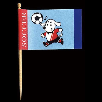 ランチ旗 (サッカー) 川善
