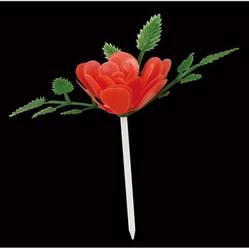 DR-55 ���� �s�b�N���[�Y �J���g 18278216